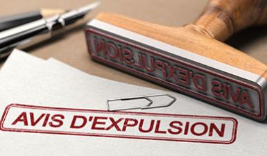 squatteurs avis expulsion