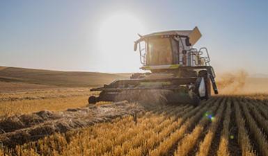 Concours des lycées agricoles